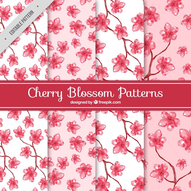 Watercolor patterns of cherry blossoms