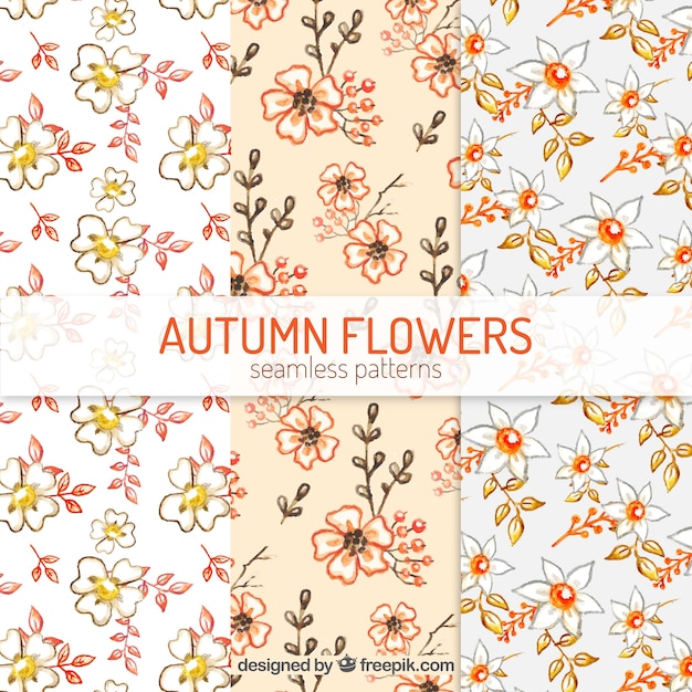 Watercolor patterns with autumnal flowers