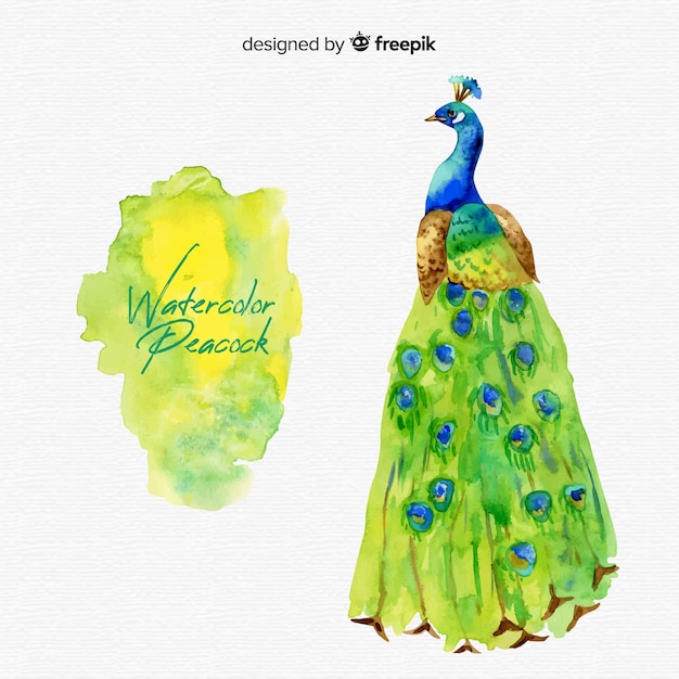 Free Vector watercolor peacock background