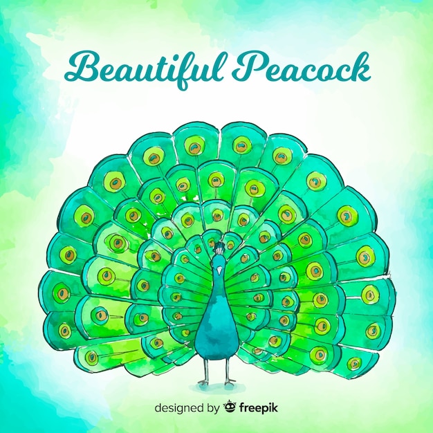 Free Vector watercolor peacock background