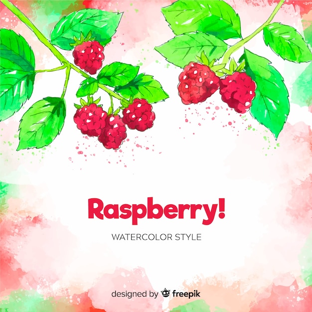 Free Vector watercolor raspberries background