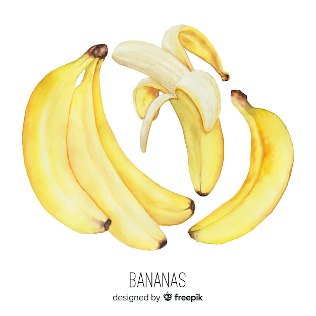 Free Vector watercolor realistic banana background