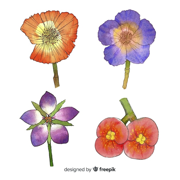 Free Vector watercolor realistic flower collection