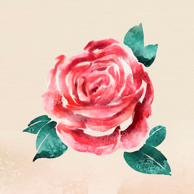 Free Vector watercolor red rose flower sticker overlay vector