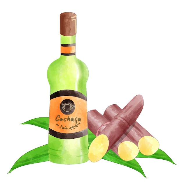 Watercolor refreshing cachaça illustration