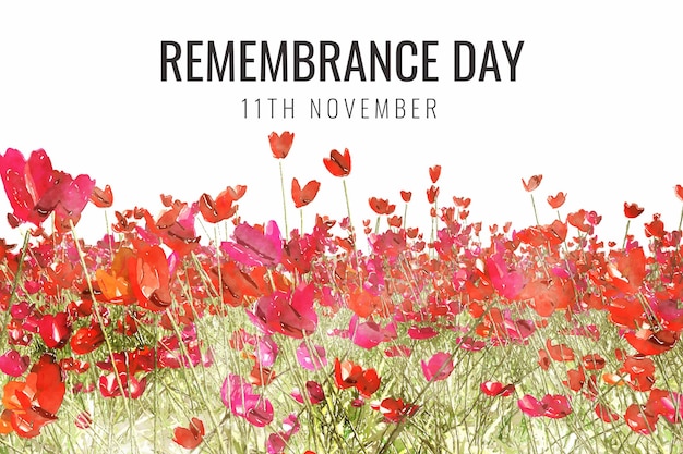 Free vector watercolor remembrance day background