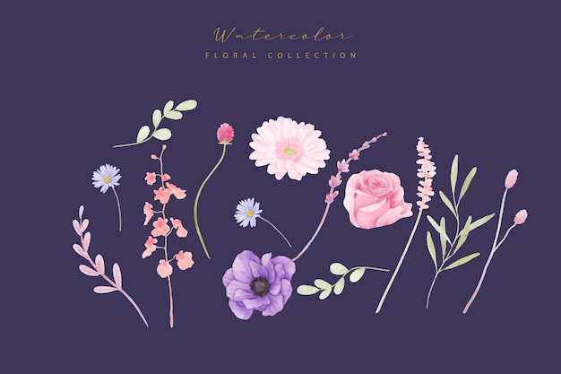 Watercolor rose, anemone and gerbera flowers collection