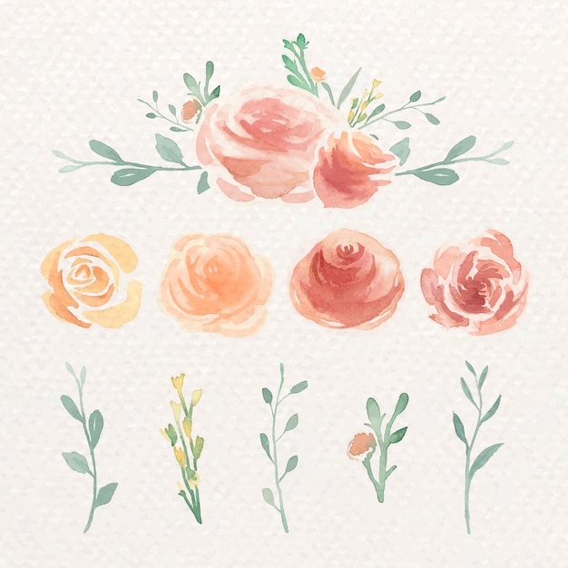 Free Vector watercolor rose set