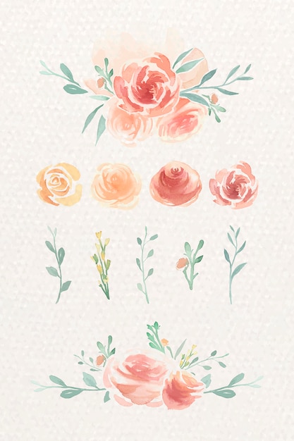 Free Vector watercolor rose set