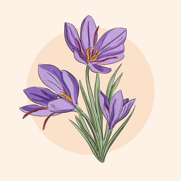 Free vector watercolor saffron illustration