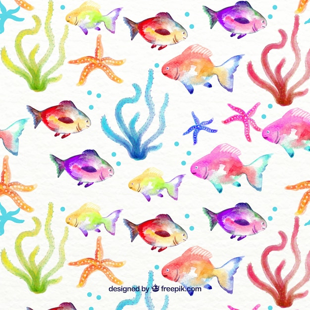 Watercolor sealife background