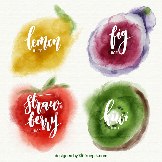 Free Vector watercolor selection of four fruits