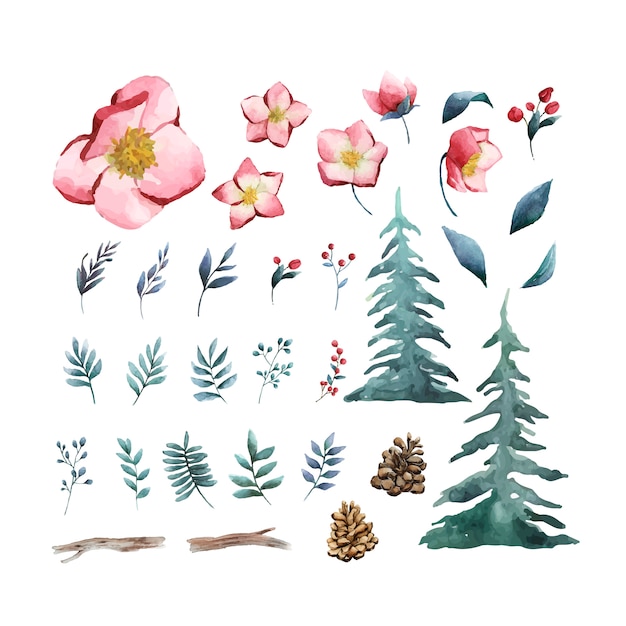 Watercolor set of winter flowers and leaves vector