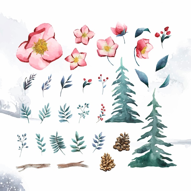 Free Vector watercolor set of winter flowers and leaves vector