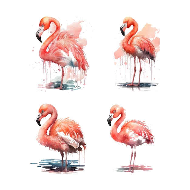 Free Vector watercolor sketch illustration of adorable cute flamingo