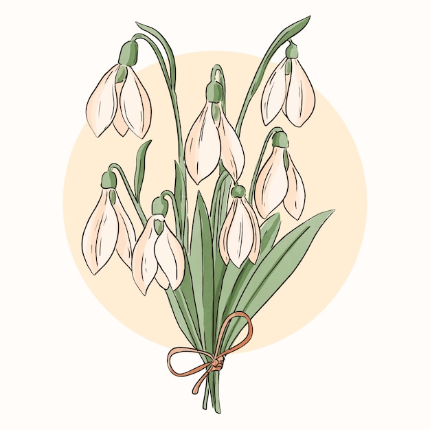 Watercolor snowdrop flower illustration