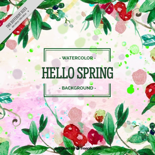 Free Vector watercolor spring background with leaves and red fruits