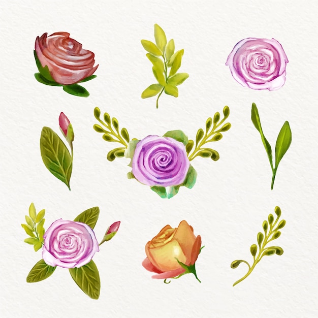 Free Vector watercolor spring flower collection concept