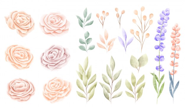 Watercolor spring flower collection