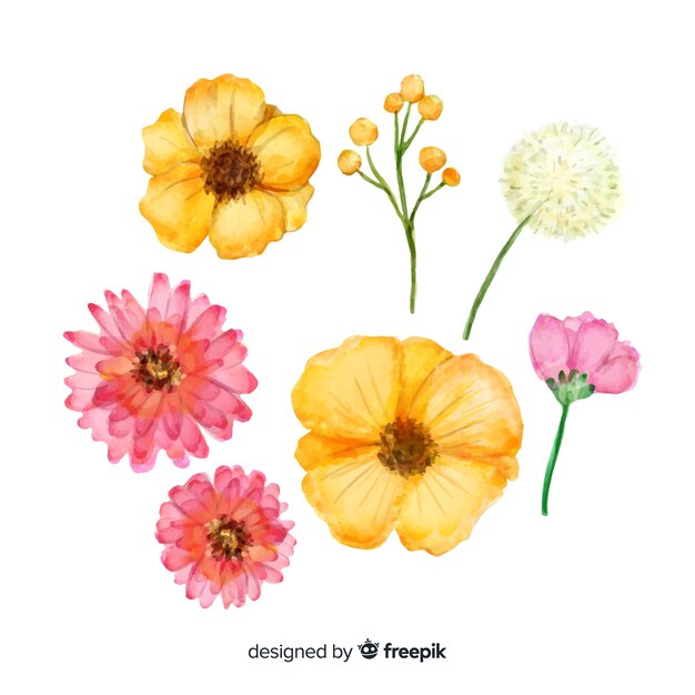 Watercolor spring flower collection