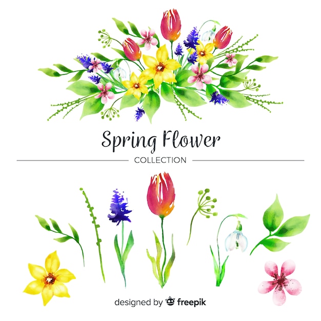 Free Vector watercolor spring flower collection