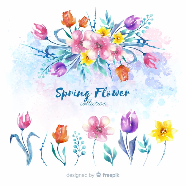 Watercolor spring flower collection