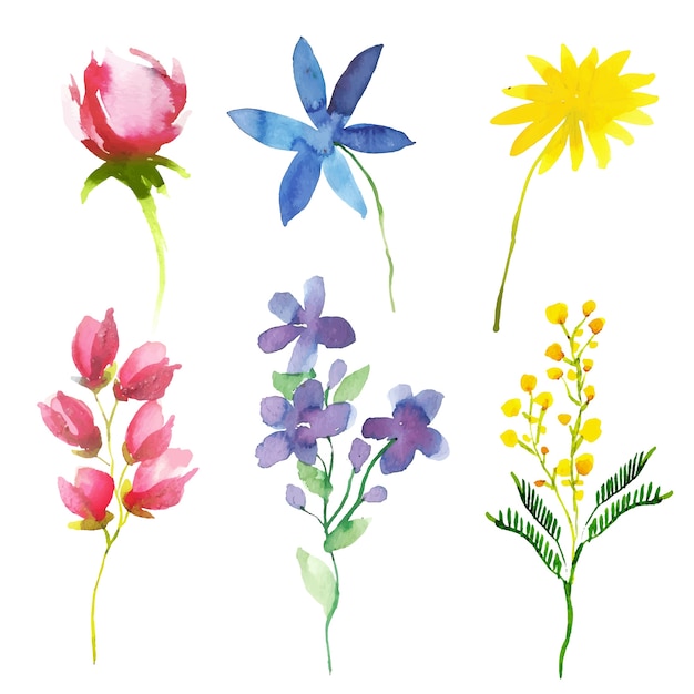 Watercolor spring flower collection