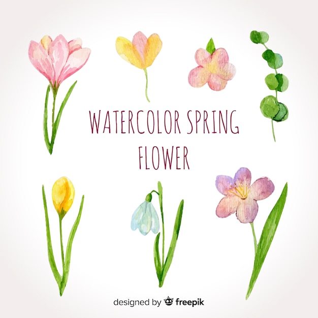 Watercolor spring flower pack