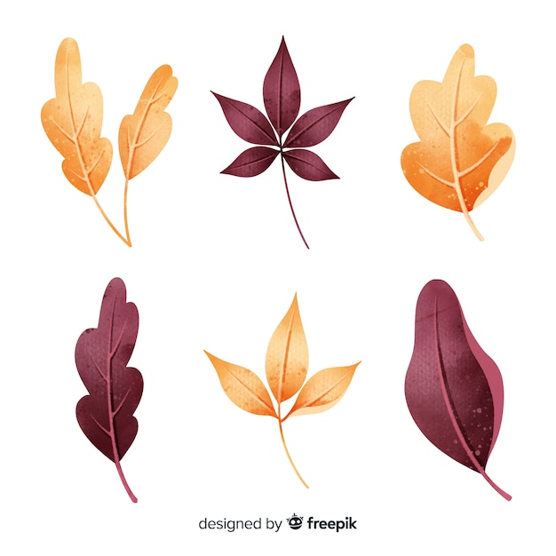 Watercolor style autumn leaves collection