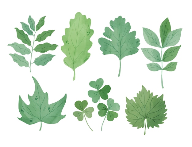 Free Vector watercolor style green leaves collection