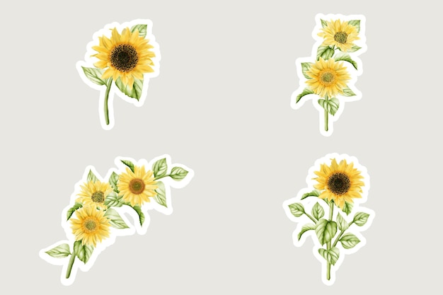 Free vector watercolor sunflower sticker illustration