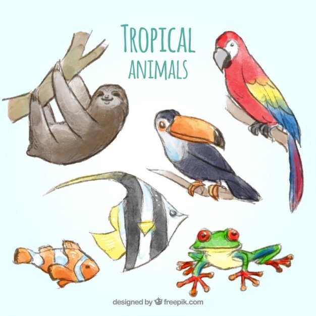 Free vector watercolor tropical animal collection