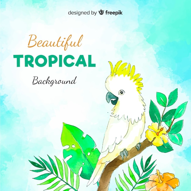 Watercolor tropical background