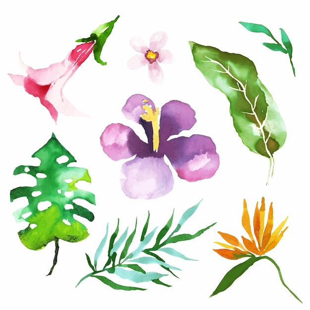 Free Vector watercolor tropical flower and leaf pack