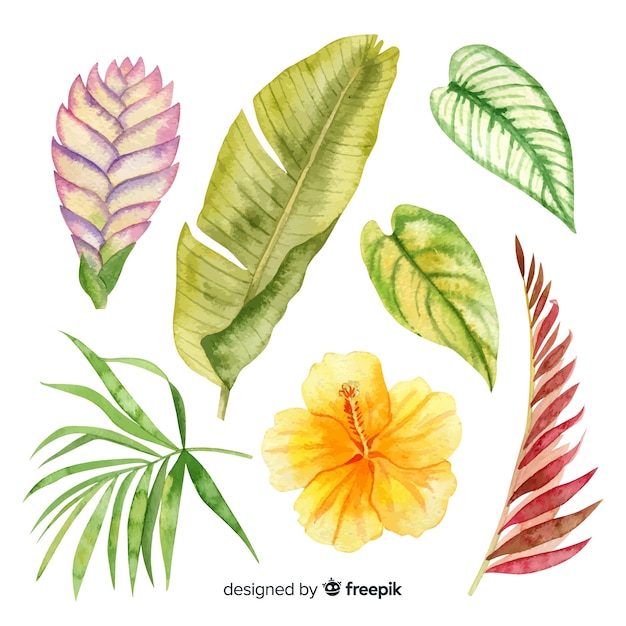 Watercolor tropical flowers and leaves