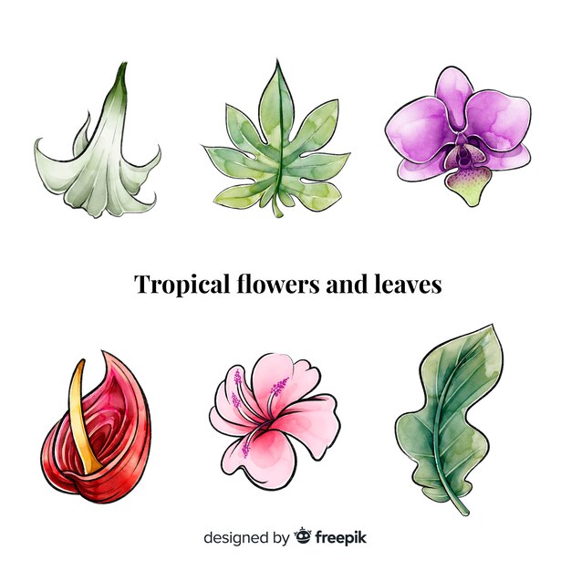 Watercolor tropical flowers and leaves