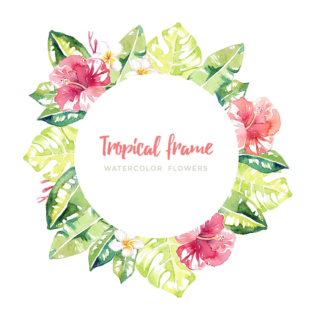 Watercolor tropical frame