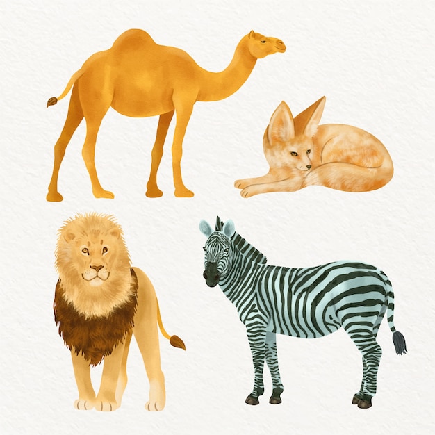 Watercolor  wild animals illustration