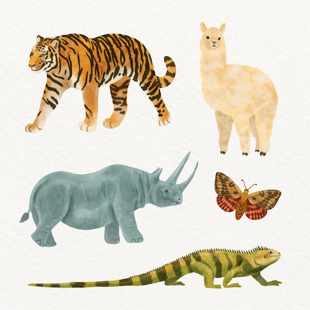 Free vector watercolor  wild animals illustration