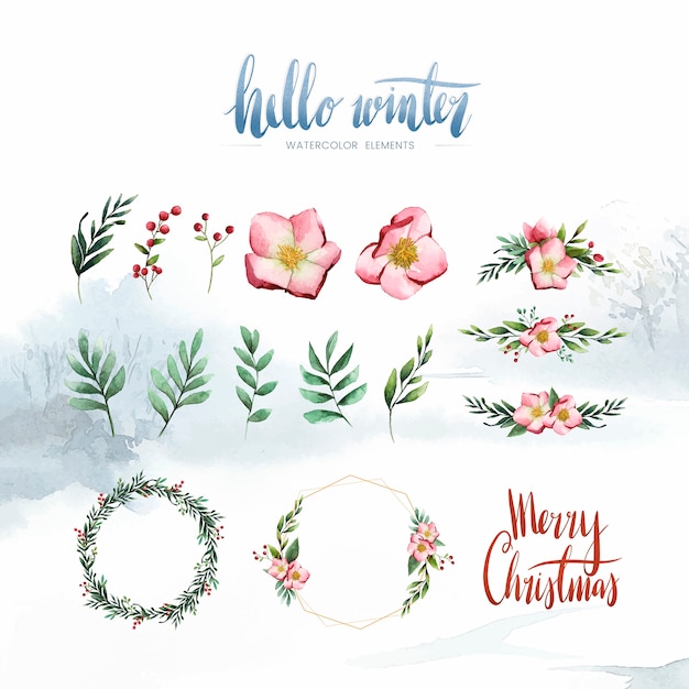 Free Vector watercolor winter bloom and elements vector