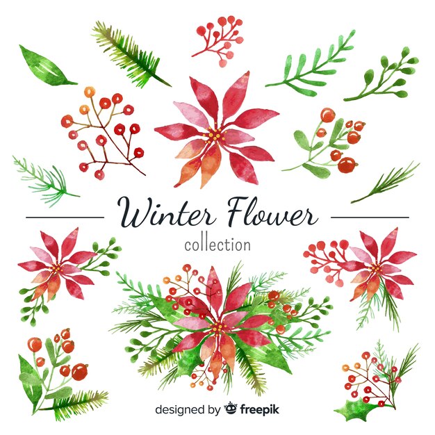 Watercolor winter flower collection