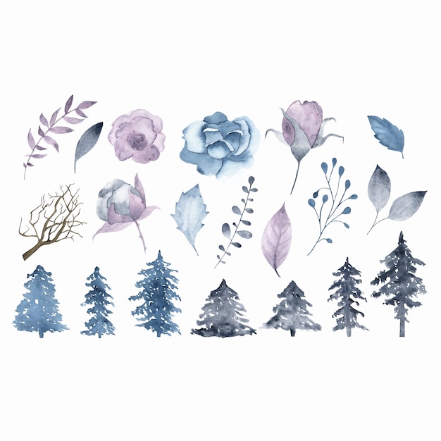 Free Vector watercolor winter flowers brunch leaves fir tree isolated