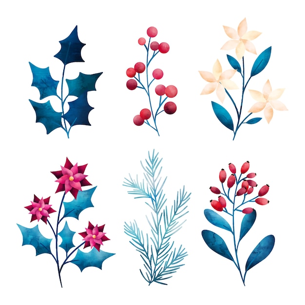 Watercolor winter flowers collection