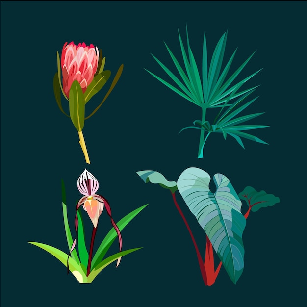 Free Vector watercolour beautiful exotic flowers and leaves