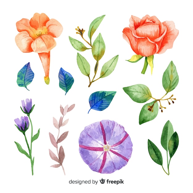 Watercolour flowers and leaves with pale colours