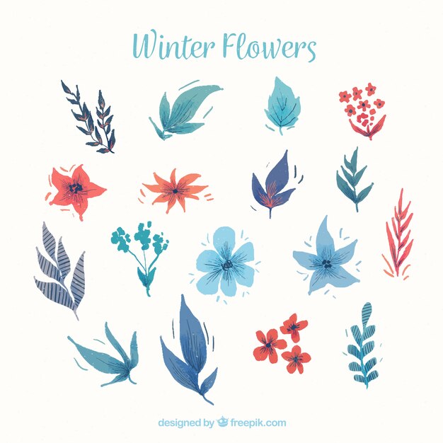 Watercolour winter flowers in blue and red tones