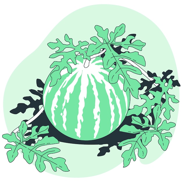 Free Vector watermelon plant concept illustration