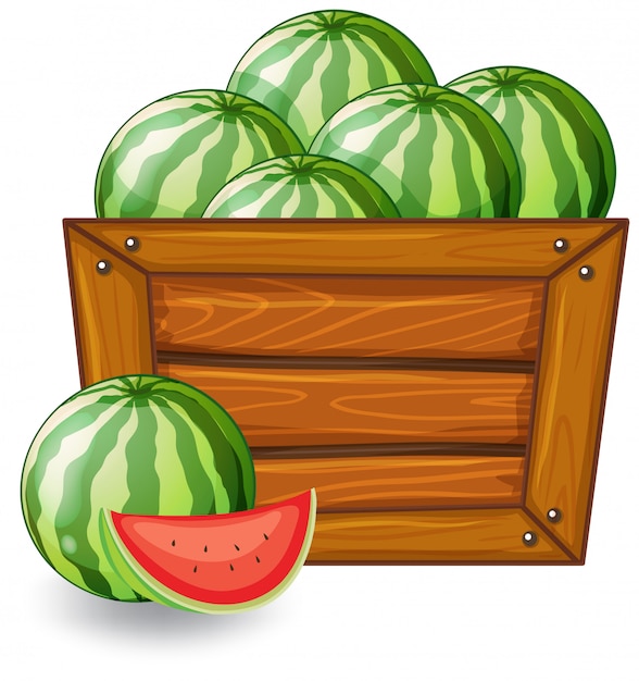 Free Vector watermelon on wooden banner