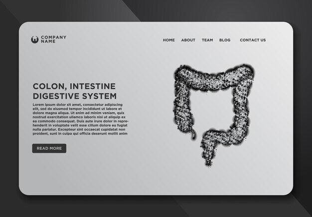 Web page design templates collection of colon intestine digestive system Human Anatomy Abstract Wireframe from dot and lines design