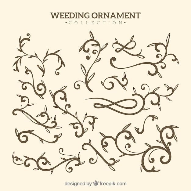 Free Vector wedding ornaments collection to decorate